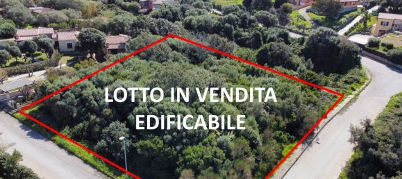 1771m² Land in Santa Teresa Gallura, Italy No. 174854 10
