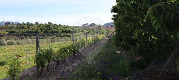 12016m² Land in Lamego, Portugal No. 80698 5