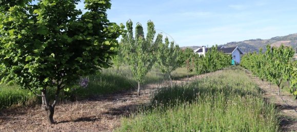 12016m² Land in Lamego, Portugal No. 80698 6