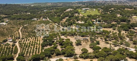 25 bedrooms Hotel in Almancil, Portugal No. 145346 12