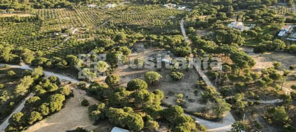 25 bedrooms Hotel in Almancil, Portugal No. 145346 3