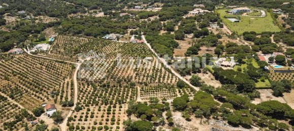 25 bedrooms Hotel in Almancil, Portugal No. 145346 13