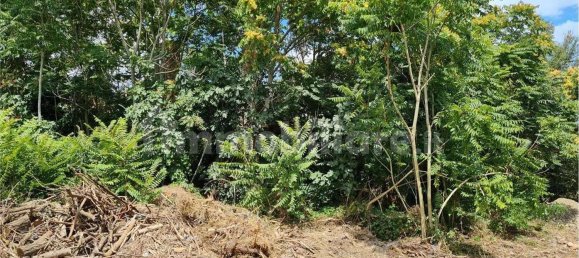 15 chambres Maison à Castelfranco Emilia, Italy No. 76830 6