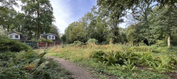 Terreno en Altona, Germany No. 79639 4