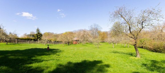 11 rooms Farm in Weimarer Land, Germany No. 167516 5