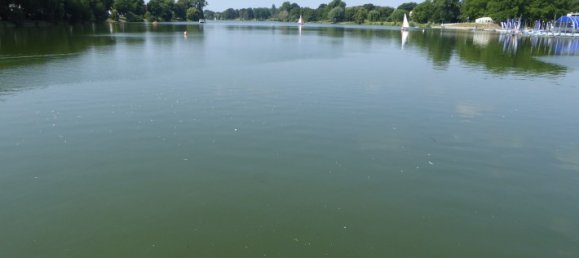 Здание с 9 комнатами в Мюнстер, Германия № 315360 17