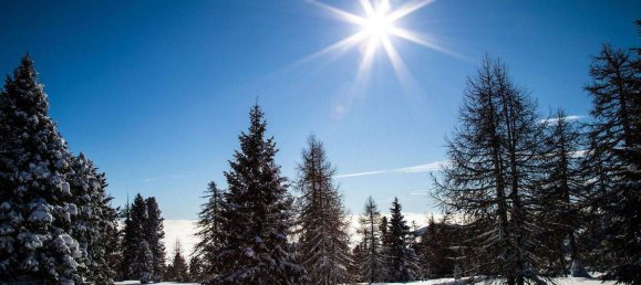 7-Zimmer Haus in Albeck, Austria, Nr. 256804 39