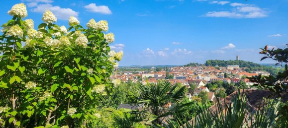 4 bedrooms House in Montlhery, France No. 351839 27