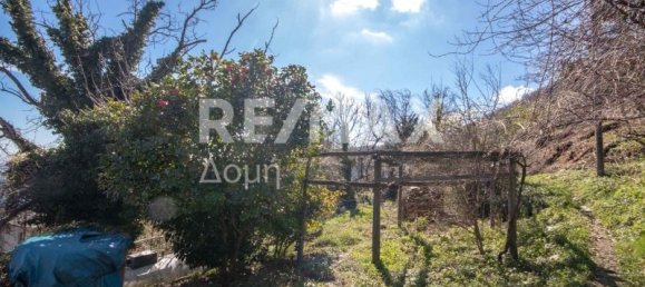 Maisonette-Wohnung in Mouresi, Greece 279m², Nr. 749 8