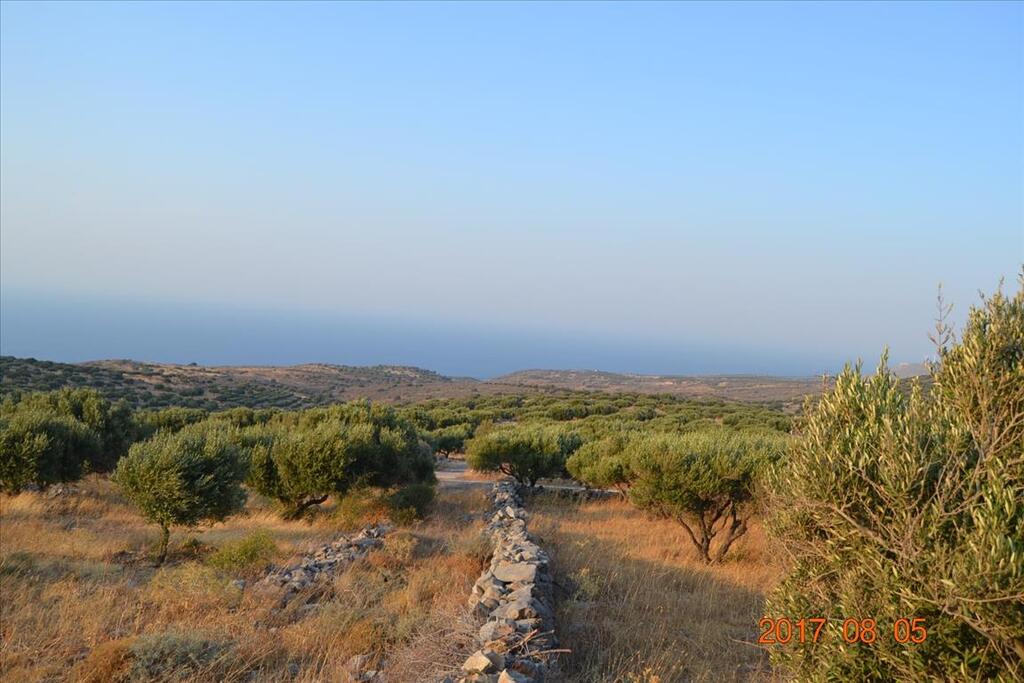 15570m² Land in Agios Nikolaos, Greece No. 93353