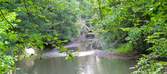 4 Schlafzimmer Doppelhaus in Lamotte-Beuvron, France, Nr. 65182 11
