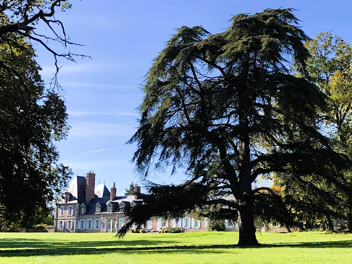 4 Schlafzimmer Doppelhaus in Lamotte-Beuvron, France, Nr. 65182