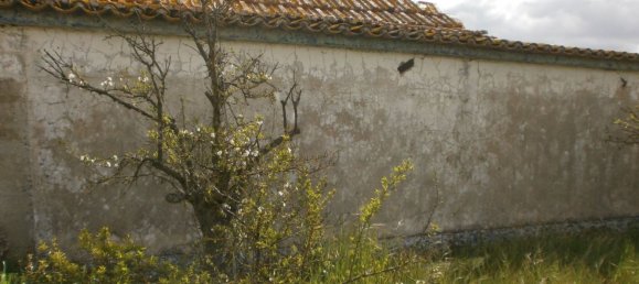 3000m² Land in Pinhal Novo, Portugal No. 15809 7