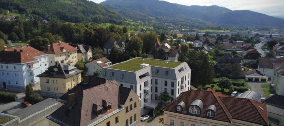 Büro in Kirchdorf an der Krems, Austria, Nr. 212486 8