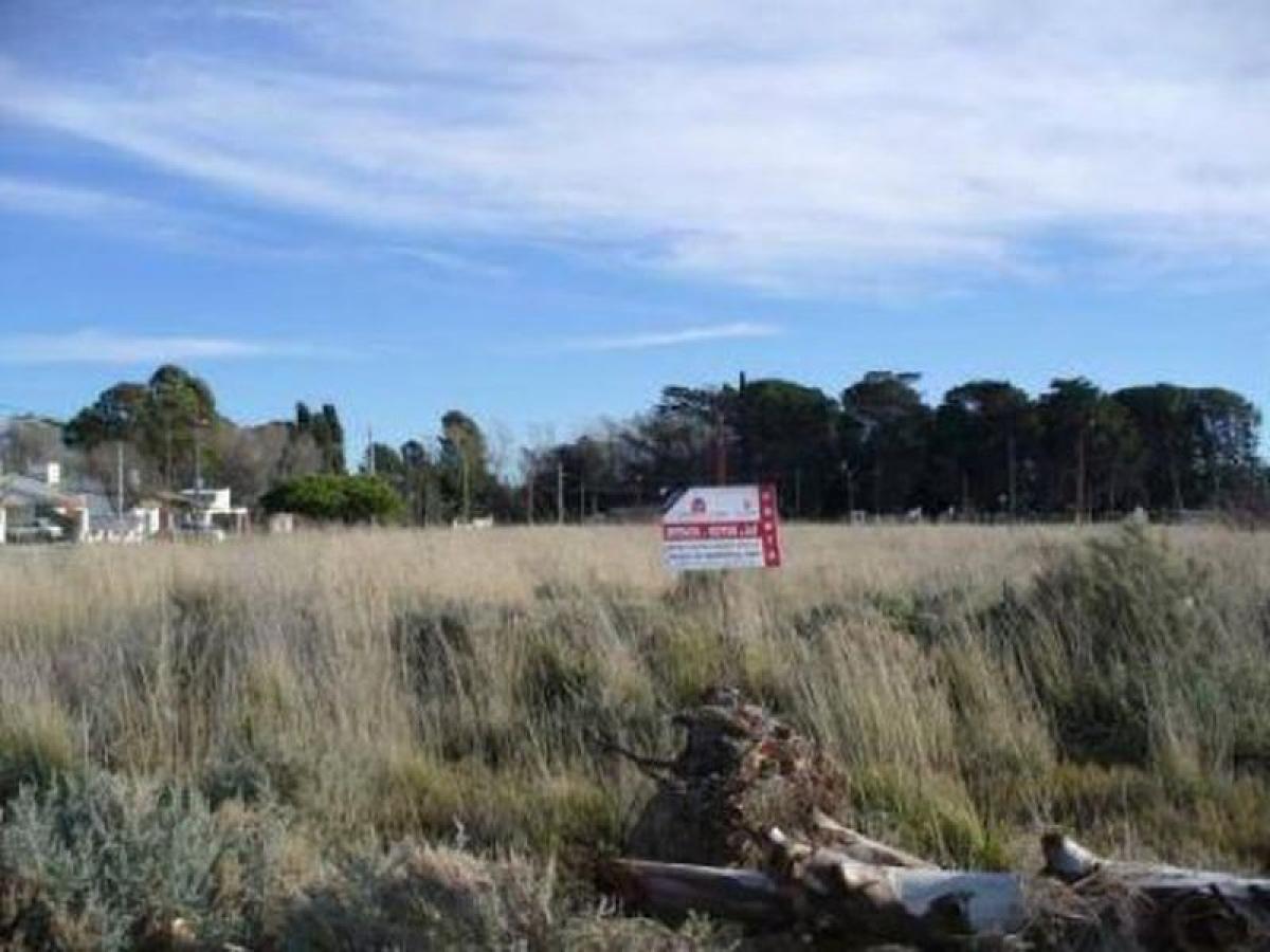 Земельный участок в Рио-Негро, Аргентина № 41135