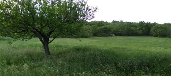 16000m² Land in Monte Romano, Italy No. 302352 7