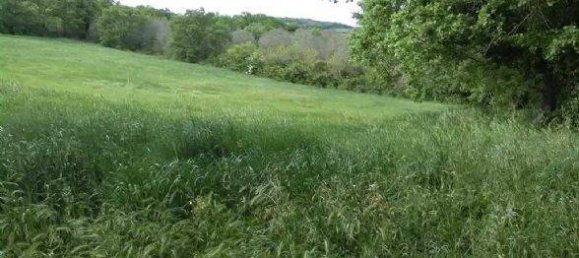 16000m² Land in Monte Romano, Italy No. 302352 2