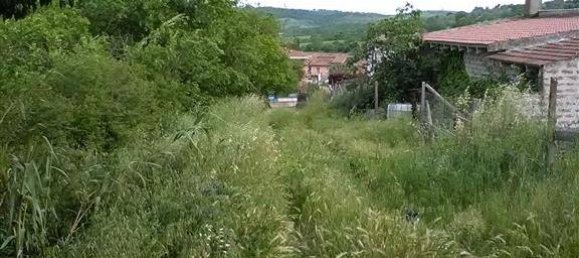 16000m² Land in Monte Romano, Italy No. 302352 6