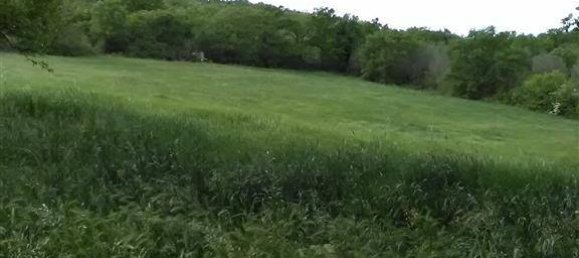 16000m² Land in Monte Romano, Italy No. 302352 5