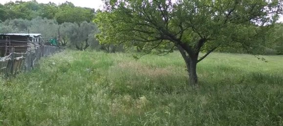 16000m² Land in Monte Romano, Italy No. 302352 4