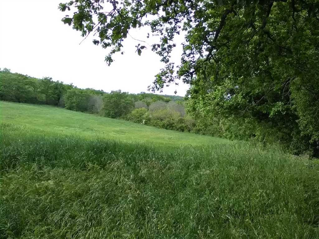 16000m² Land in Monte Romano, Italy No. 302352