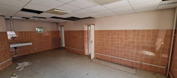 222m² Building in Bourbonne-les-Bains, France No. 244087 3