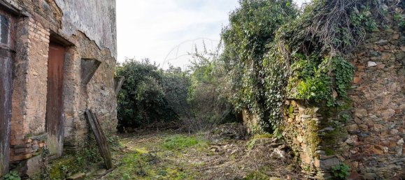 4 chambres Maison à Agueda, Portugal No. 173851 8