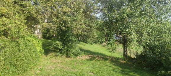  Land in Moosburg, Austria No. 13262 5