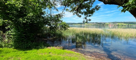 Terrain à Mattsee, Austria 1125m² No. 225113 4