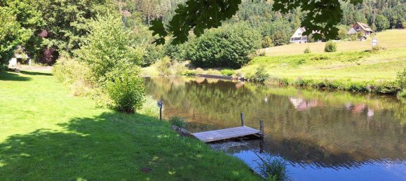 8 rooms Cafe / restaurant in Ortenaukreis, Germany No. 370553 24