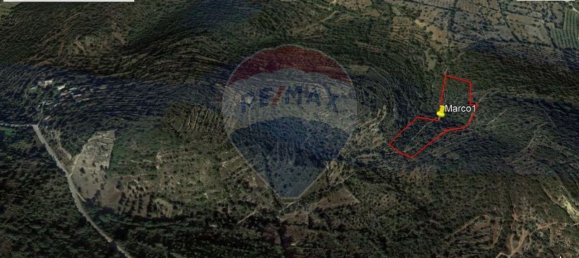 16400m² Land in Olhao, Portugal No. 85702 2