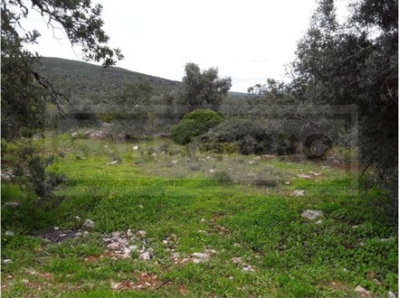 41800m² Land in Alte, Portugal No. 75346