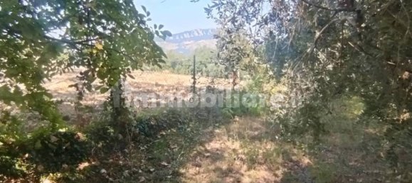 5-Zimmer Haus in Montescudo Monte Colombo, Italy, Nr. 188893 23