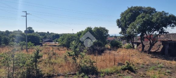 Estudio en Aci Sant'Antonio, Italy No. 309887 14