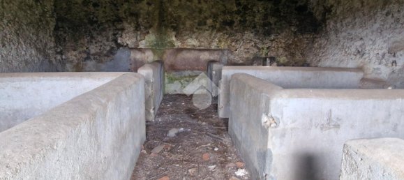 Estudio en Aci Sant'Antonio, Italy No. 309887 6