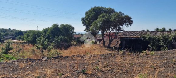 Estudio en Aci Sant'Antonio, Italy No. 309887 29