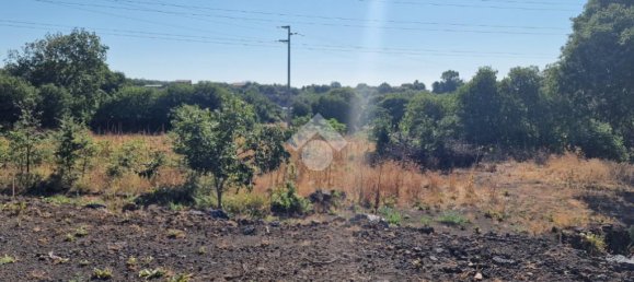 Estudio en Aci Sant'Antonio, Italy No. 309887 27