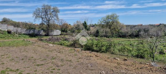 Estudio en Aci Sant'Antonio, Italy No. 309887 31