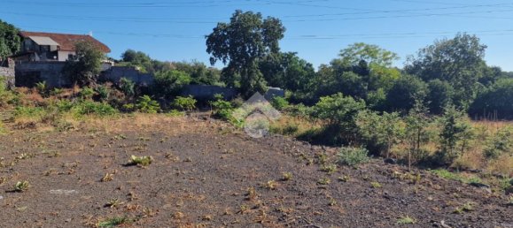 Estudio en Aci Sant'Antonio, Italy No. 309887 28