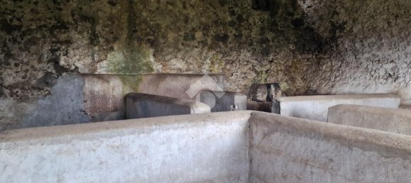 Estudio en Aci Sant'Antonio, Italy No. 309887 7