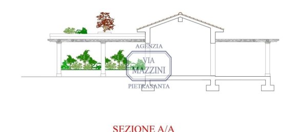 5 rooms Villa in Pietrasanta, Italy No. 288606 29