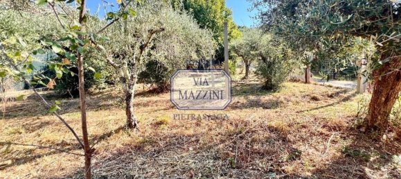 5 rooms Villa in Pietrasanta, Italy No. 288606 16