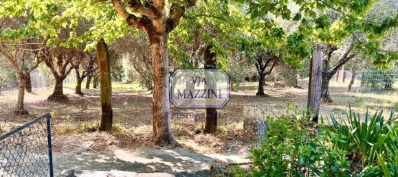 5 rooms Villa in Pietrasanta, Italy No. 288606 15