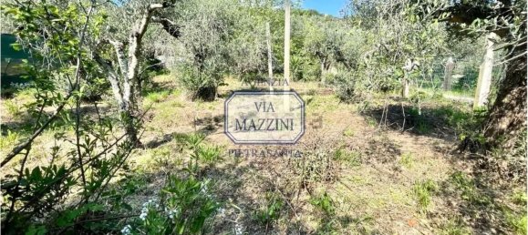 5 rooms Villa in Pietrasanta, Italy No. 288606 17