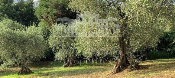 3 Schlafzimmer Villa in Massarosa, Italy, Nr. 304139 8