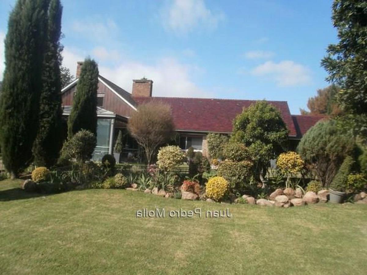 4 bedrooms House in Montevideo, Uruguay No. 5537