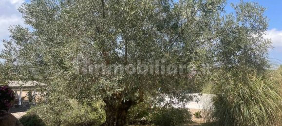 Villa de 8 dormitorios en Arzachena, Italy No. 261706 14