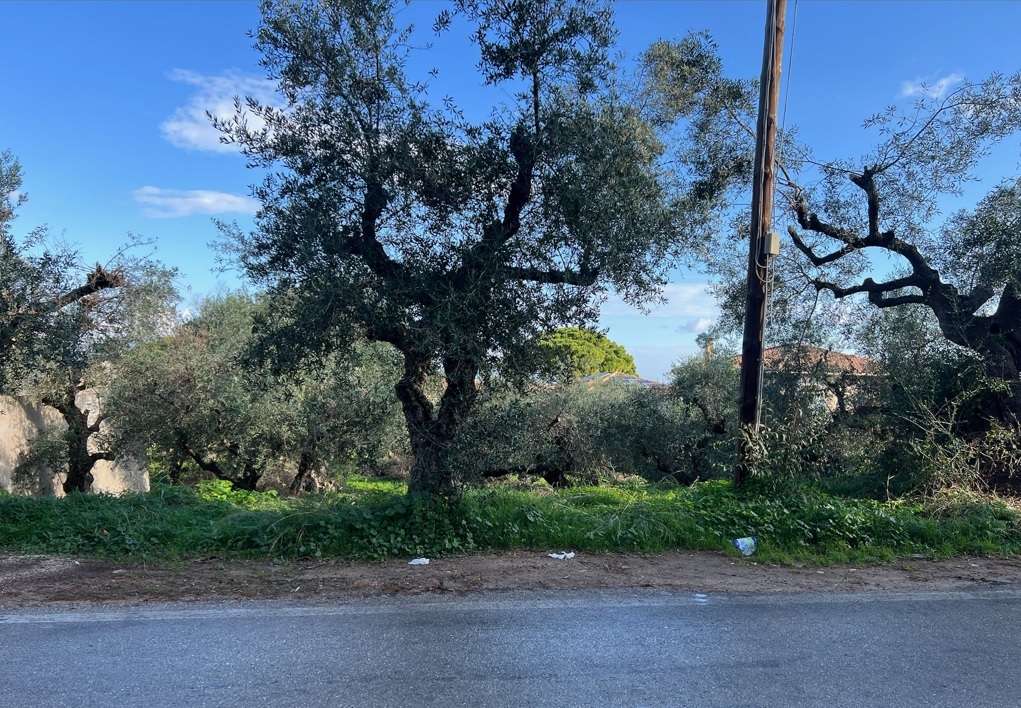 Terra em Zakynthos, Greece N.º 8688