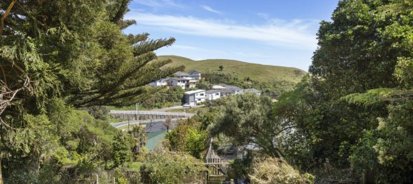 Земельный участок 463м² в Johnsonville, Новая Зеландия № 144 5