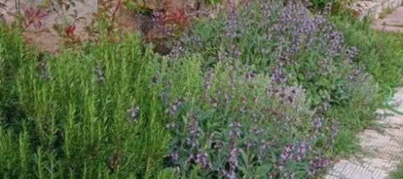 3 bedrooms Commercial property in Chortiatis, Greece No. 2533 12